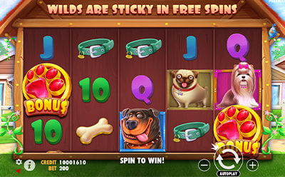 Rodadas Grátis da Slot The Dog House