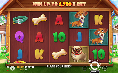 Slot The Dog House Móvel