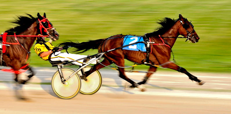 Meadows Casino na Pensilvânia Oferece Corridas de Cavalos