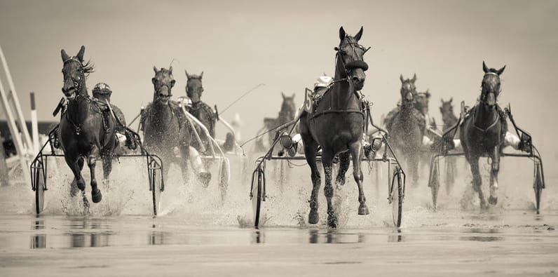 História e Origem das Corridas de Cavalos