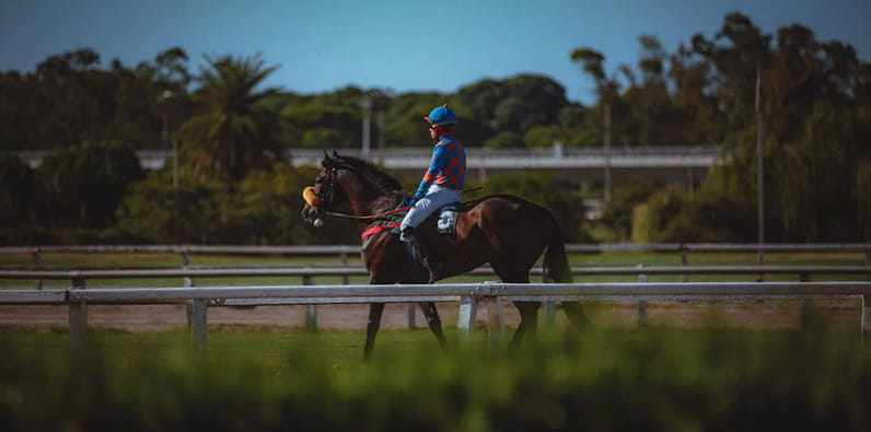 Jóquei e Cavalo de Corrida em Treino 