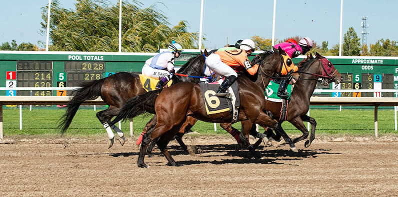 Jóqueis Numa Corrida de Cavalos