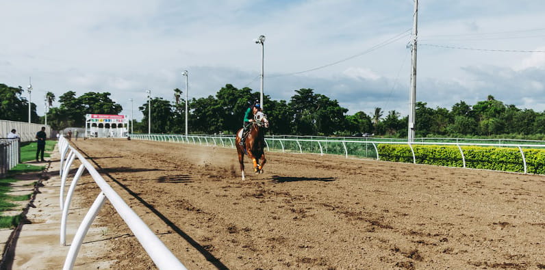 Treino Para Corrida de Cavalos 