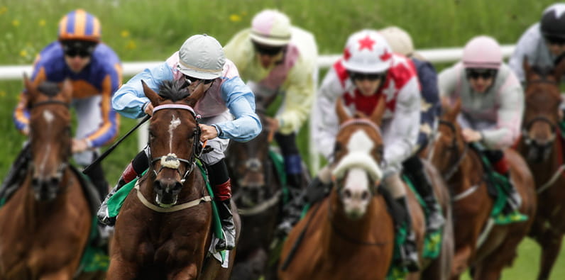 Conheça um pouco melhor a importância das corridas de cavalos.